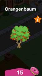 09 Orangenbaum
